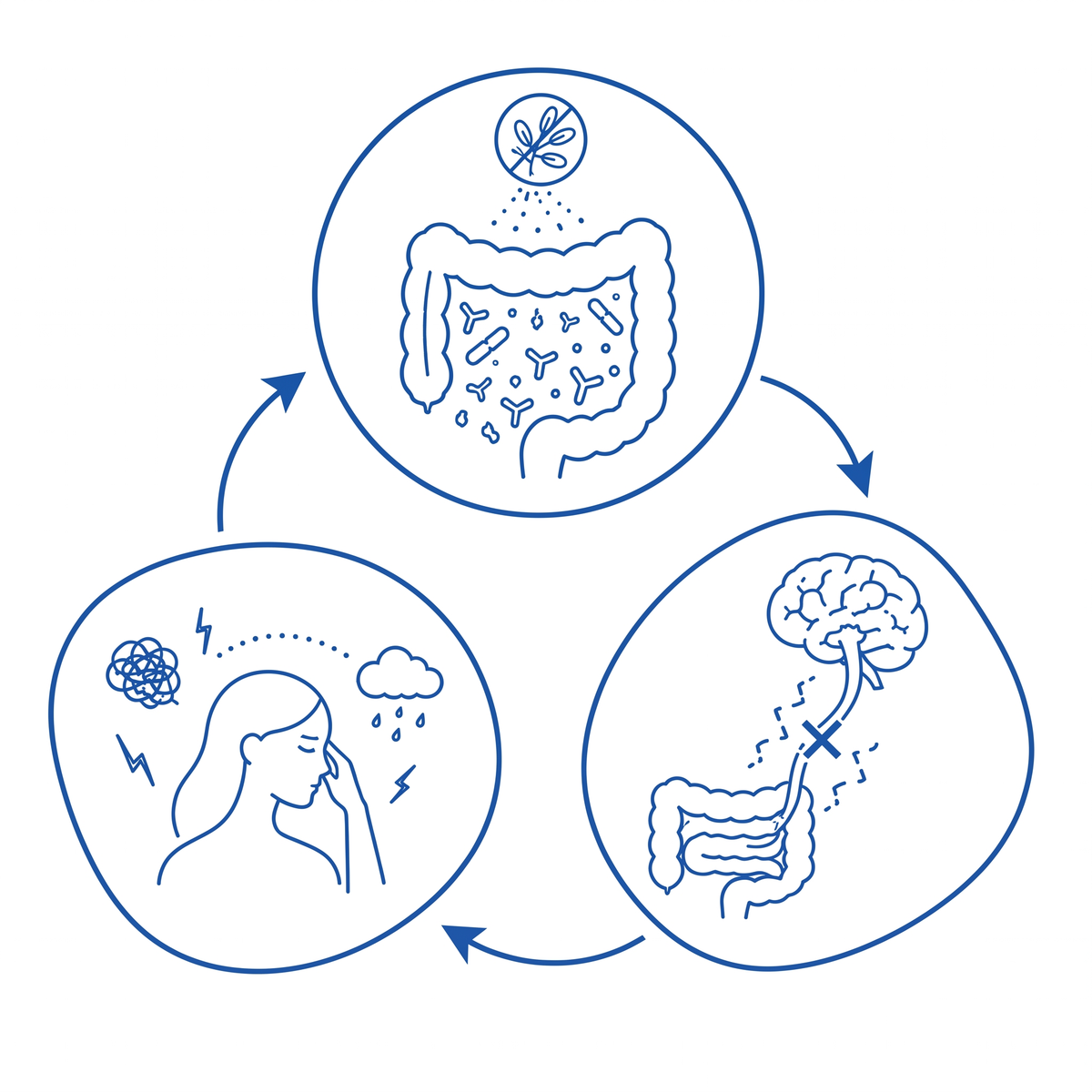 Illustration showing the gut-brain stress loop