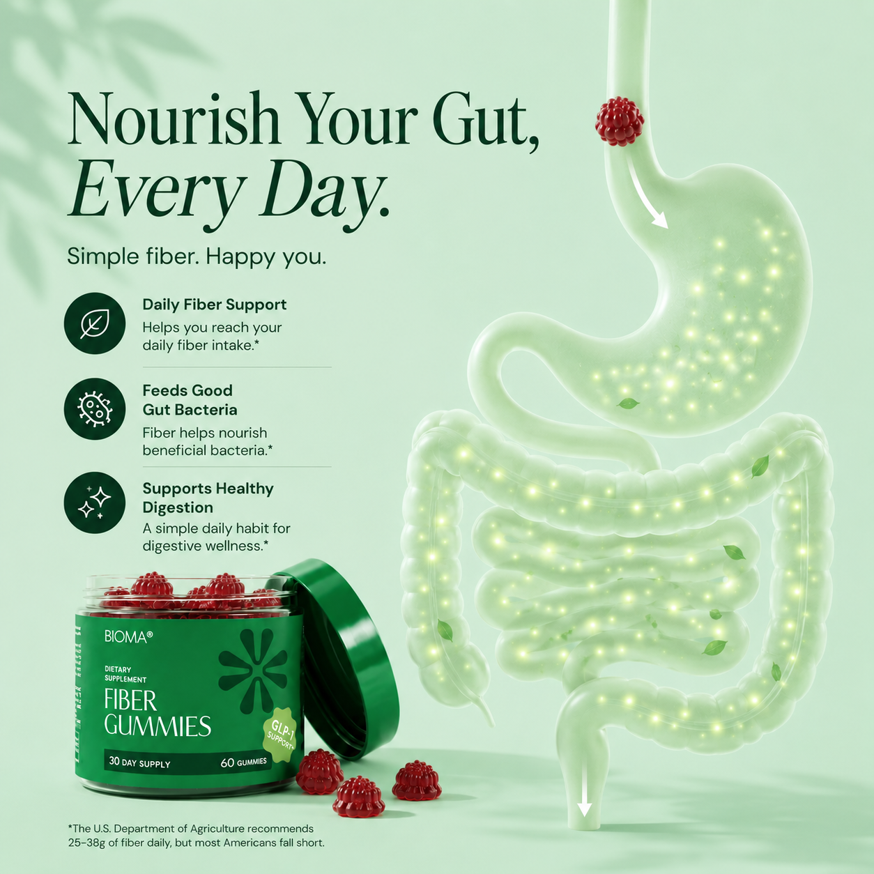 Fiber Gummies
